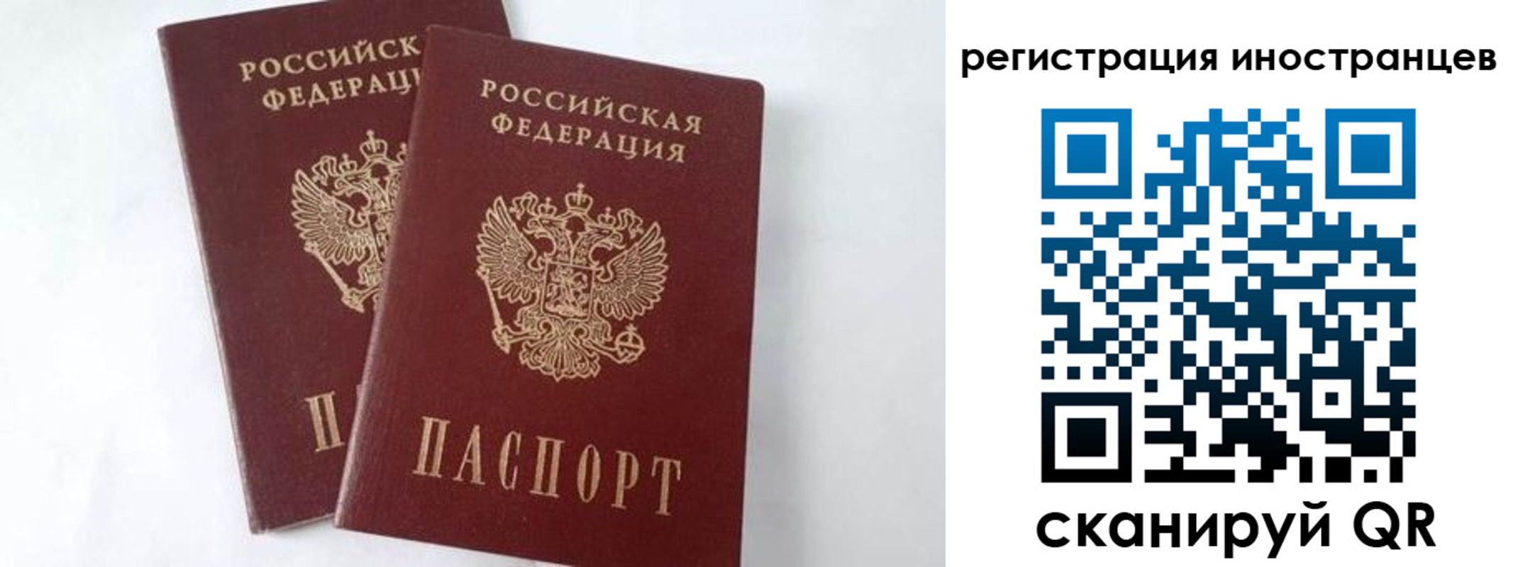 регистрация для школы в Новочеркасске
